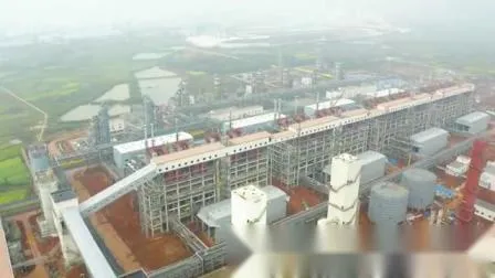 Circulating Fluidized Bed Gasifier