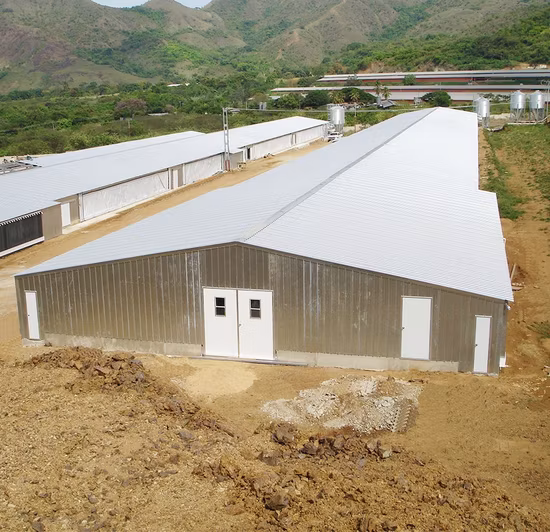 조립식으로 만들어진 가벼운 강철 창고 강철 건물 저장 창고 격납고 강철 구조물